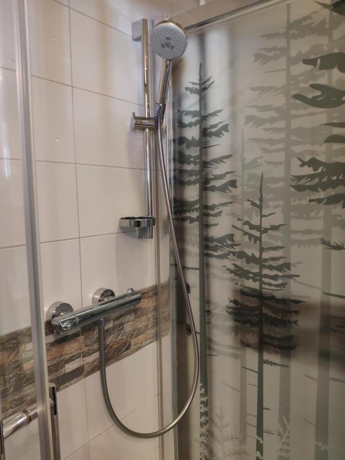 Rupicapra Apartment Zakopane Exterior photo